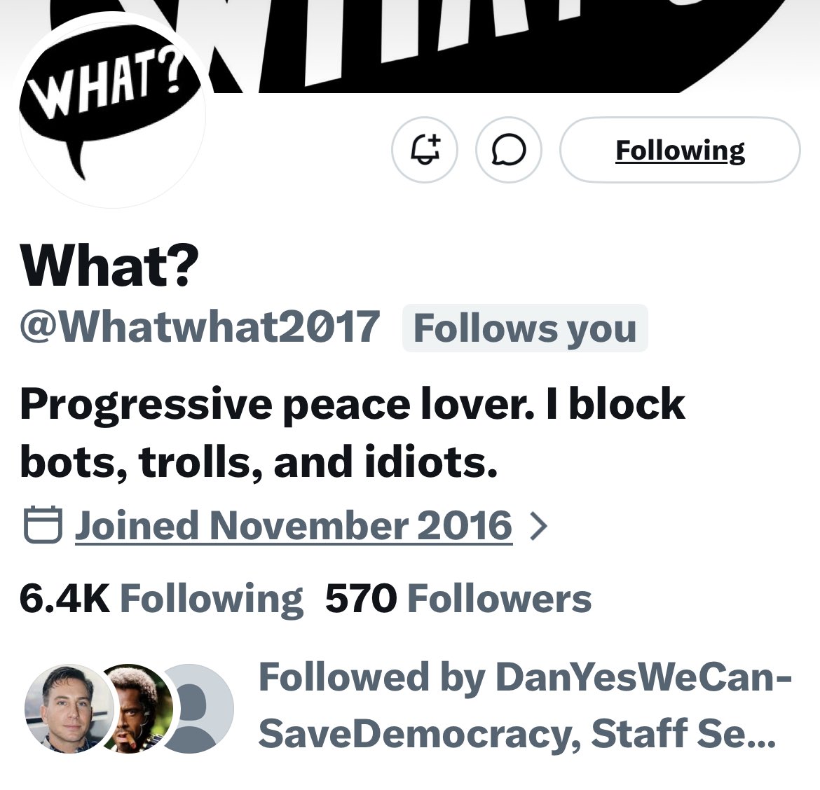 Turquoise Cat tweet media