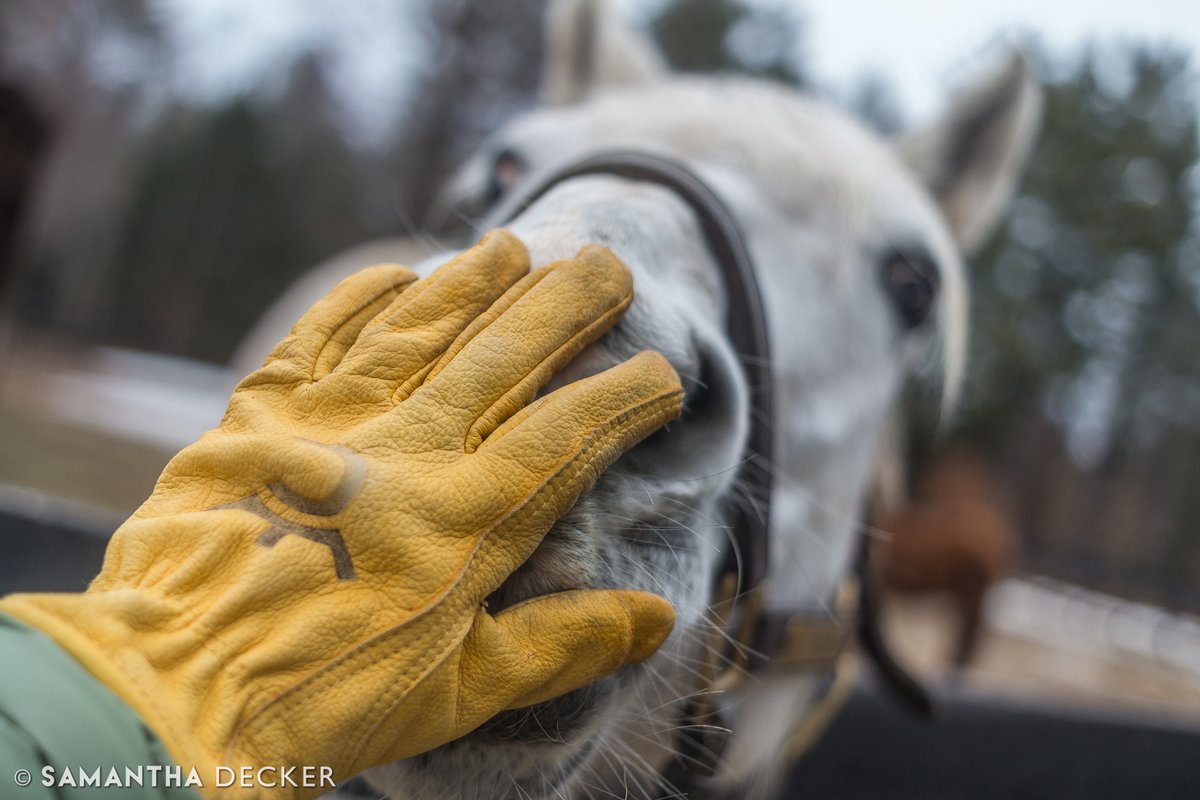 Samantha Decker (she/her) 📷 tweet media