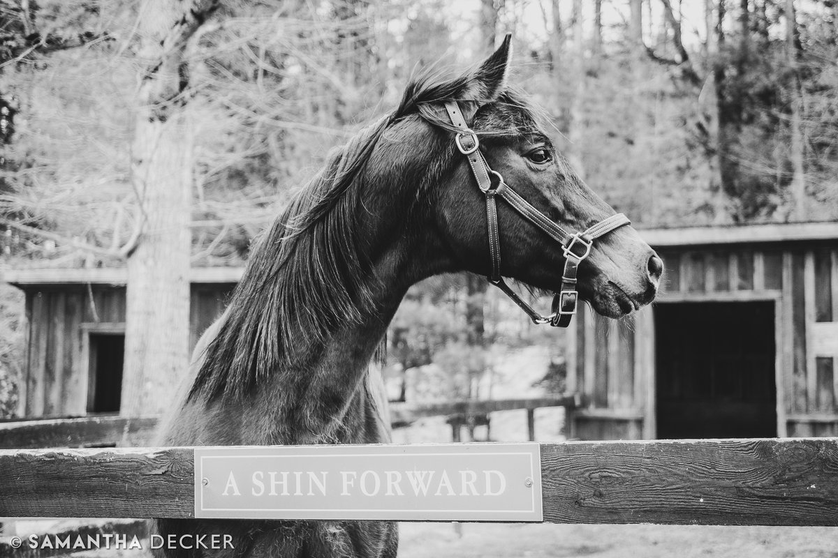 Samantha Decker (she/her) 📷 tweet media