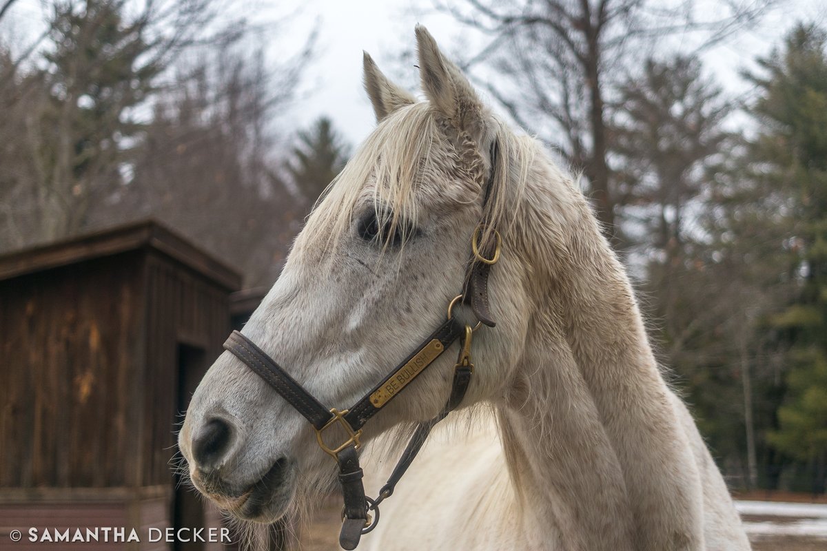 Samantha Decker (she/her) 📷 tweet media