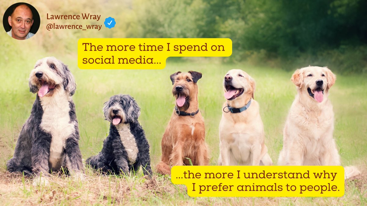 Lawrence Wray tweet media