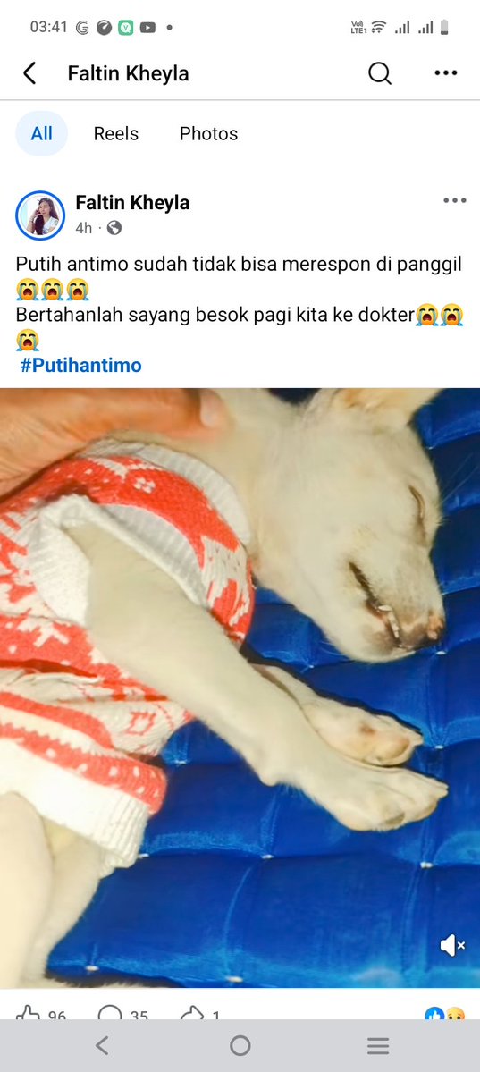 V Dikara tweet media