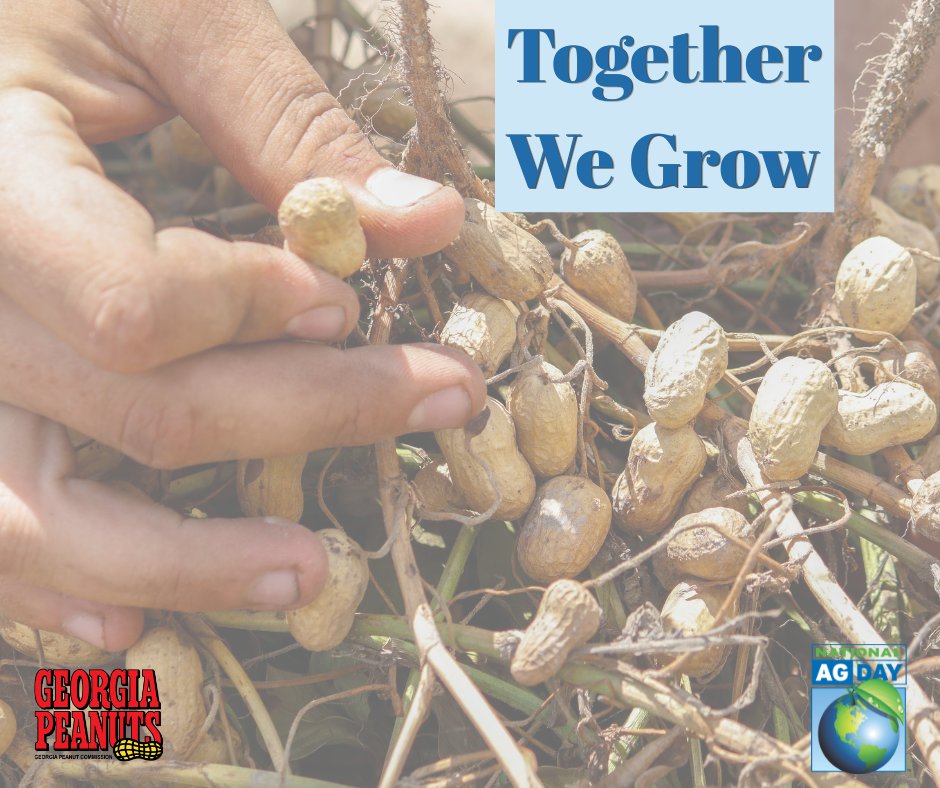 GA Peanut Commission tweet media