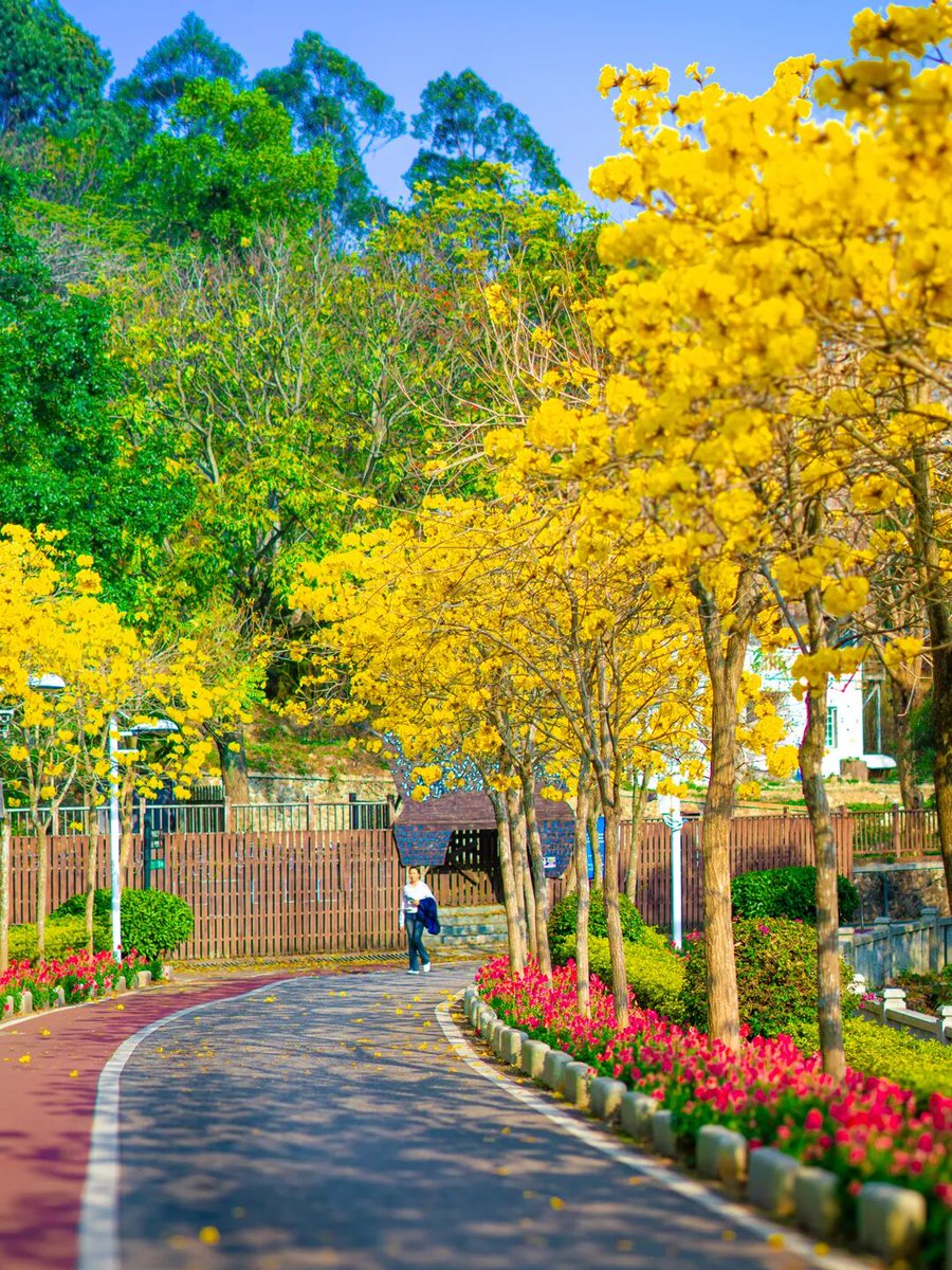 #PROMIN #News #World tweet media