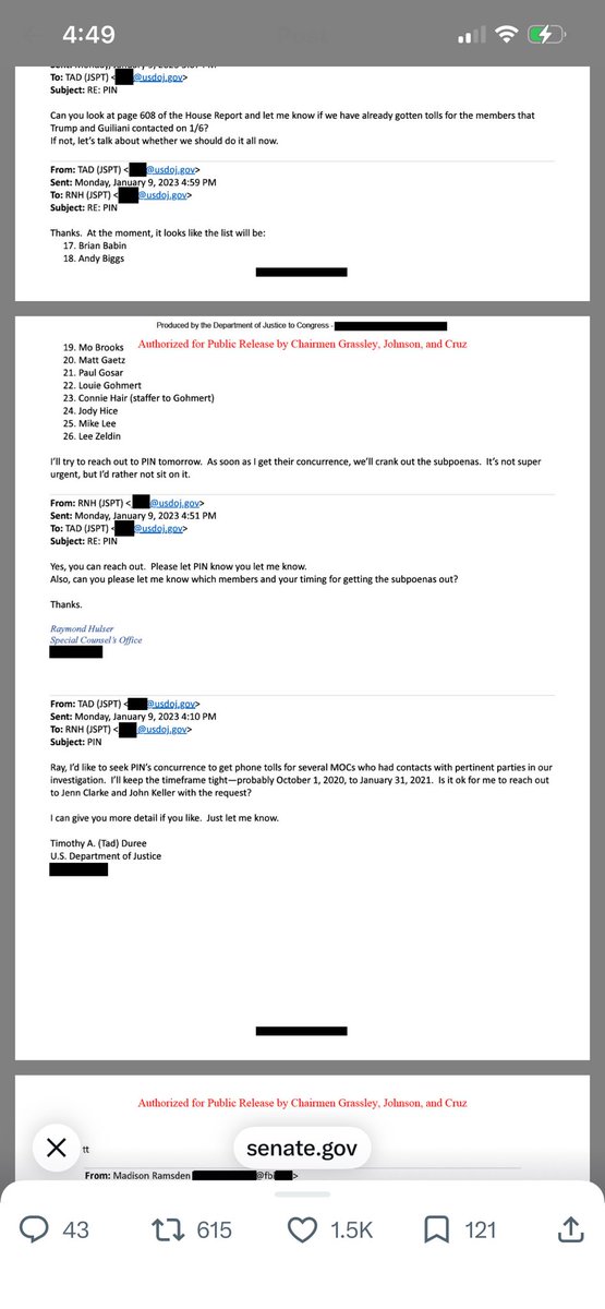 MamaBear tweet media