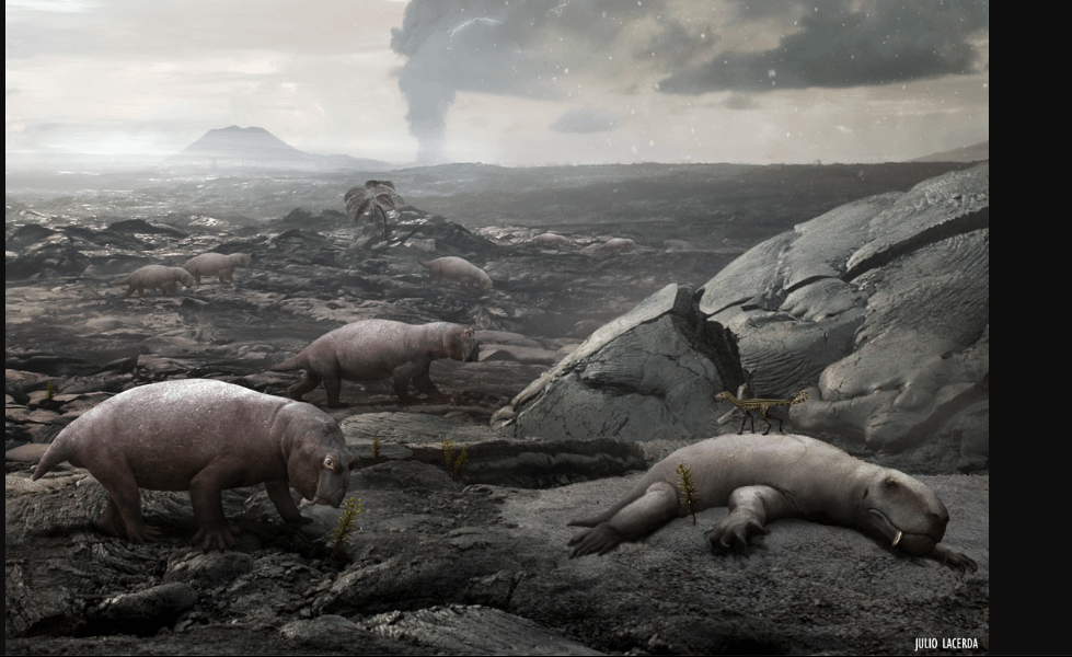 Is The Clockwork Keeper Out Yet? tweet media