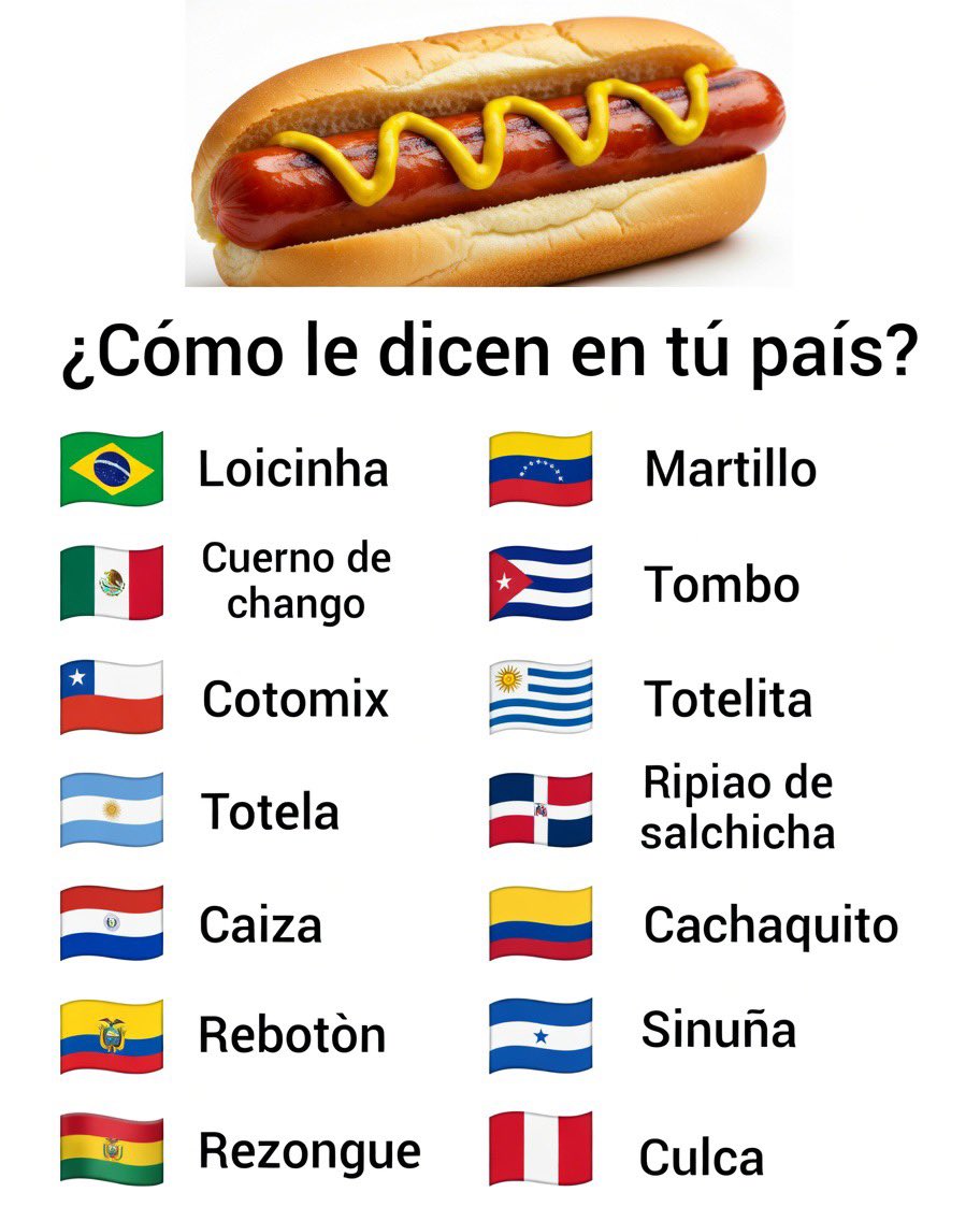 Isa Ricci tweet media