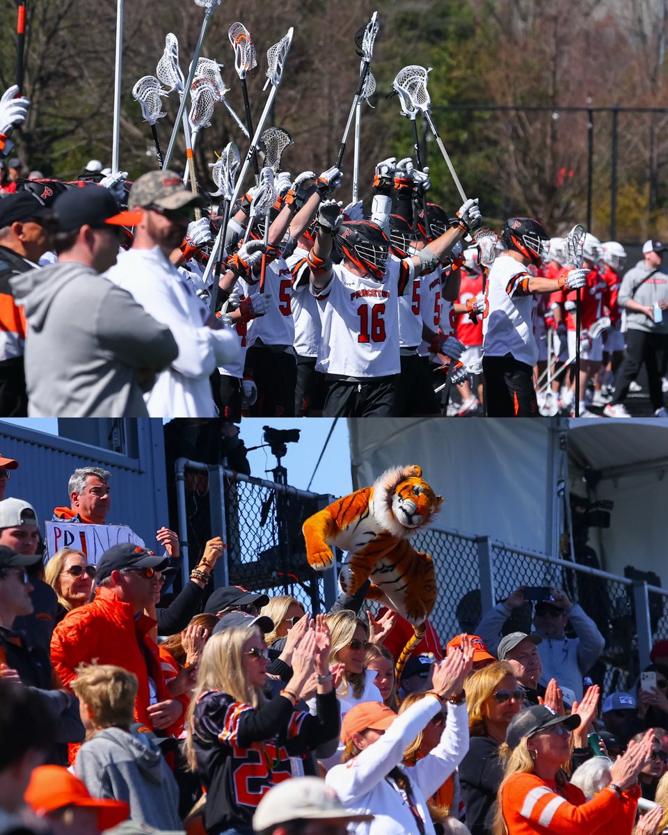 Split Second Photo tweet media