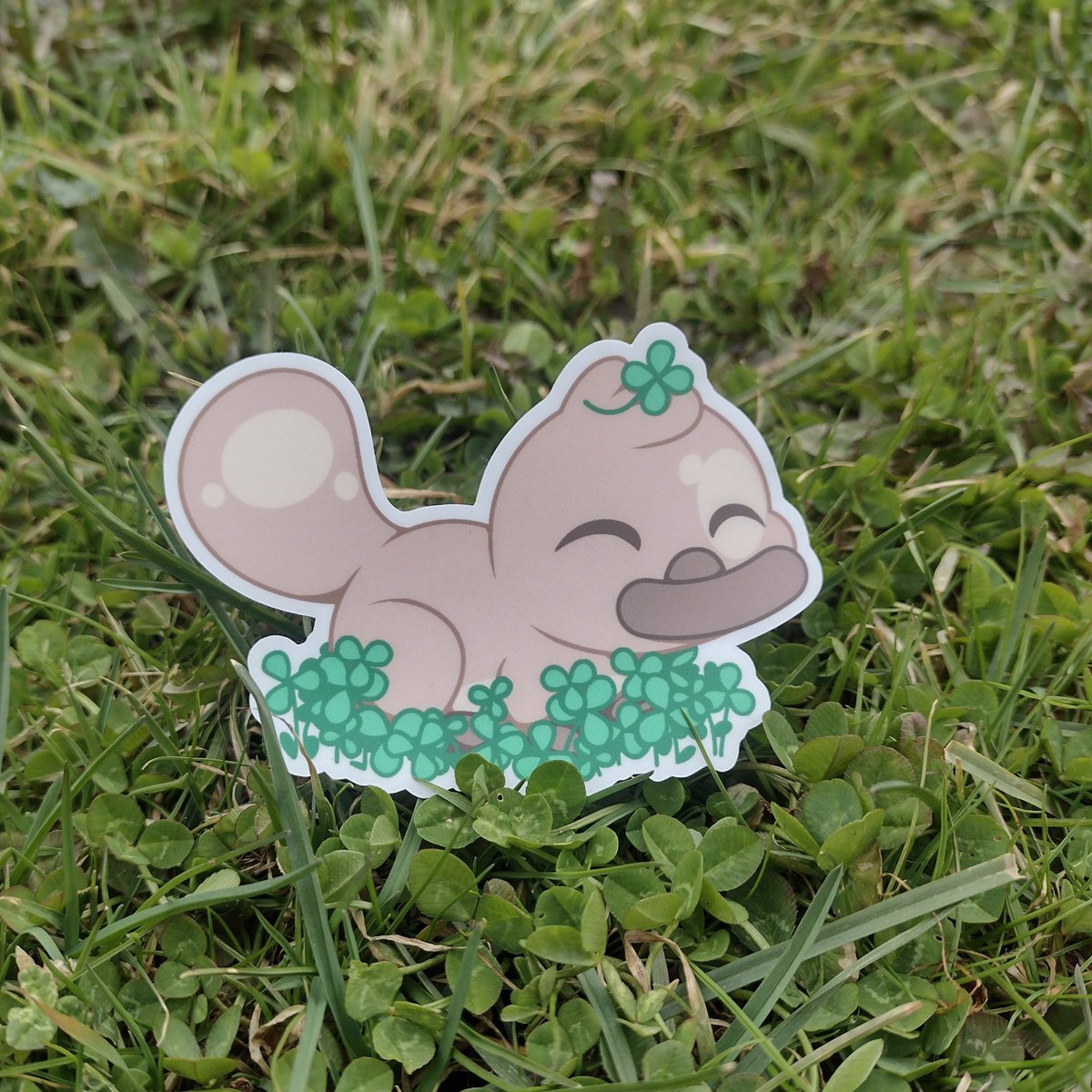 Imaplatypus_art's tweet photo. Just 1 week left 🍀!
He's waiting patiently for you UwU.
https://t.co/xoszVuMosL
---
#sticker #platypus #lucky #fourleafclover #cute #art #artist #stickerofthemonth #march #stickerclub #stpaddysday #saintpatricksday #green #animal #clover https://t.co/0pTOLLfzuF