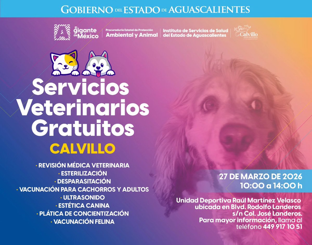 Servicios Veterinarios gratuitos en Calvillo
Aprovecha los servicios que se estarán ofreciendo para tus mascotas.
📷 Viernes 27 de marzo
📷 Desde las 10:00 a.m. hasta las 2:00 p.m.
📷Parque Infantil "Raúl Martínez Velasco
#LegadoParaMiGente