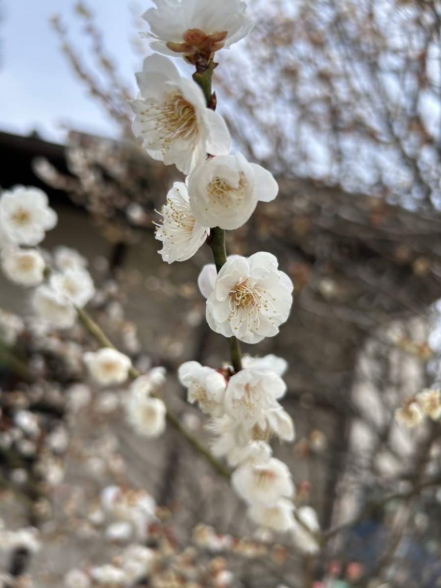 ゆっくりaoi papa tweet media