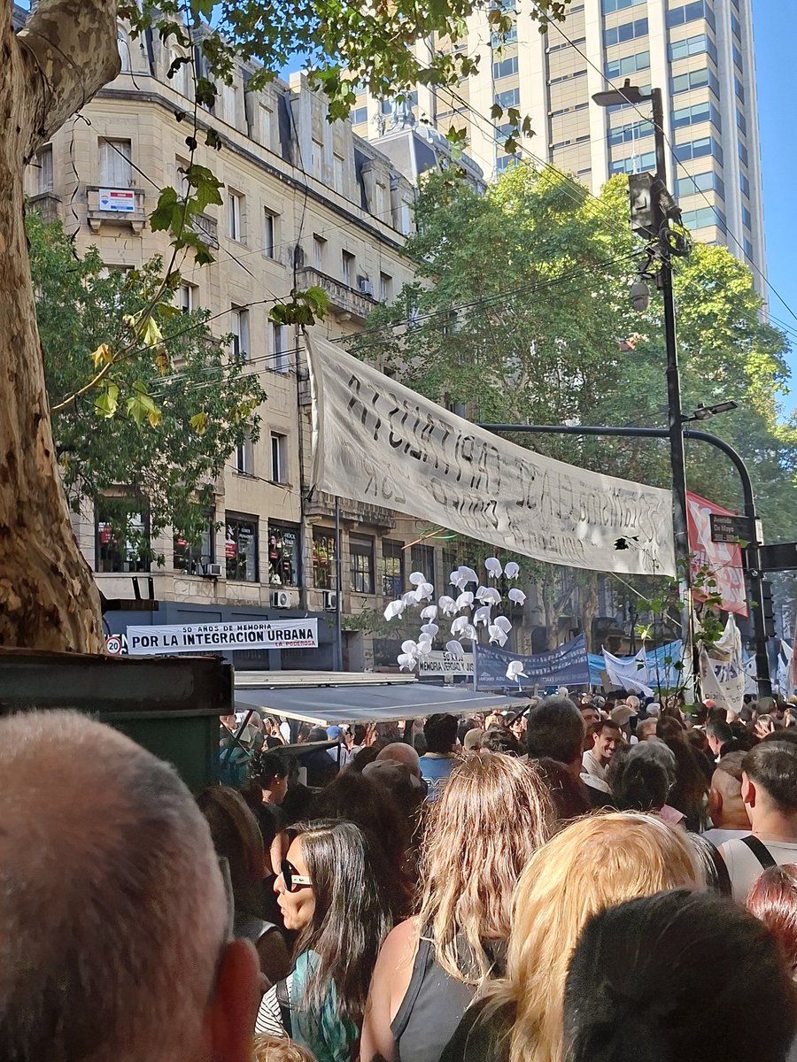 Javier Luzi tweet media