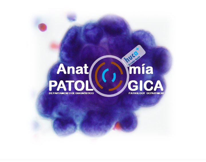 Héctor-Enrique Torres-Rivas, MD (@duckhuca) on Twitter photo 