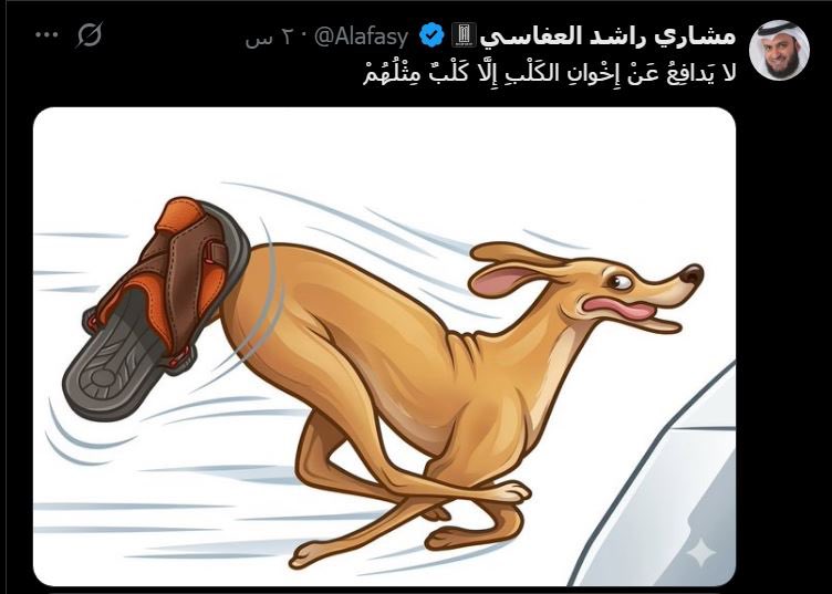 محمد المطيري tweet media