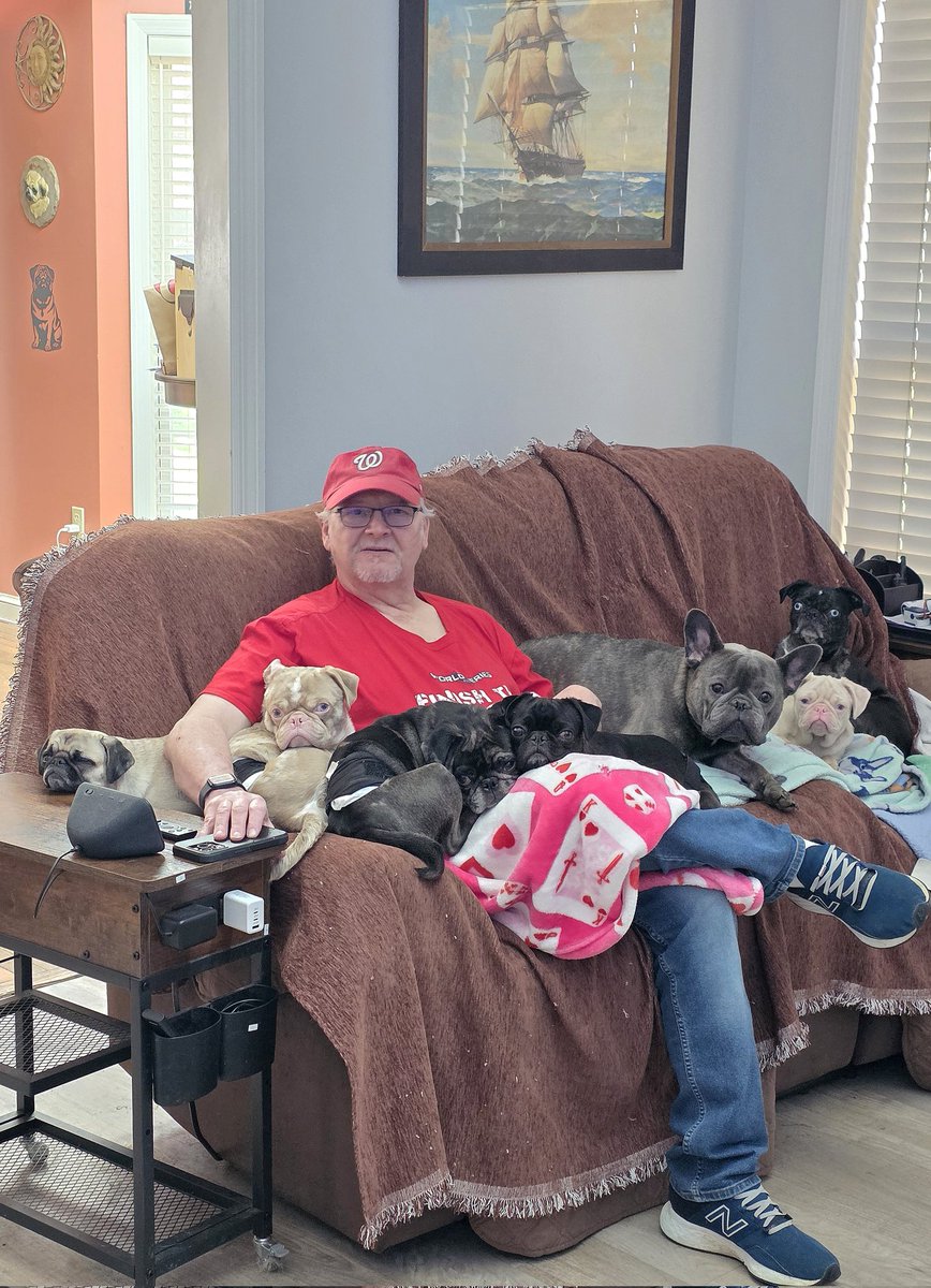 pugpartyplusone's tweet image. Nap time!
#pug #pugs #pugpartyplusone #frenchie #frenchbulldog