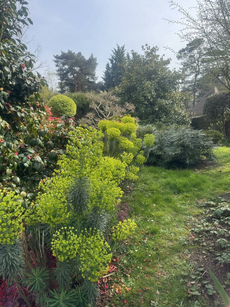 jorge pirès tweet media