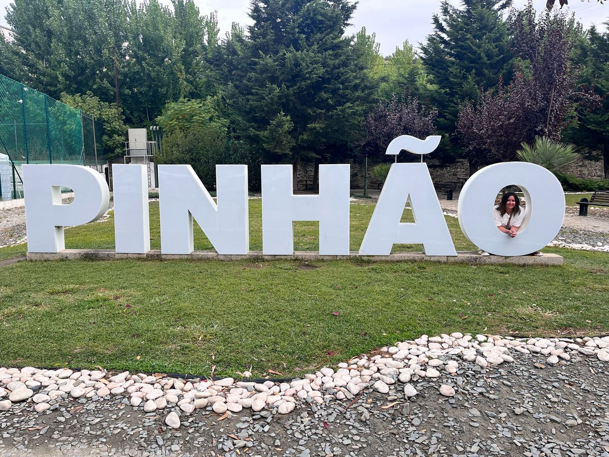 Cruise Lifestyle ⚓️ tweet media