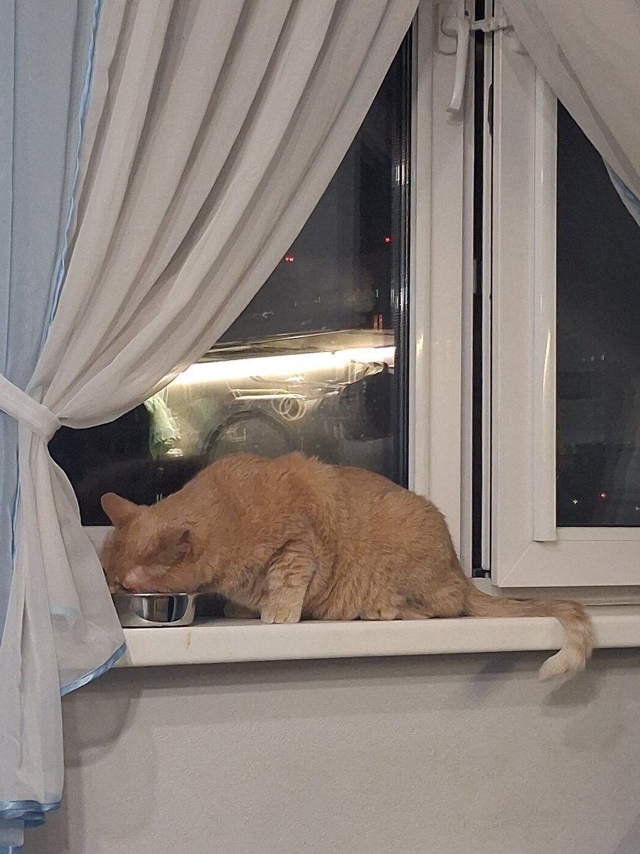 il diavolo | ⚢ tweet media