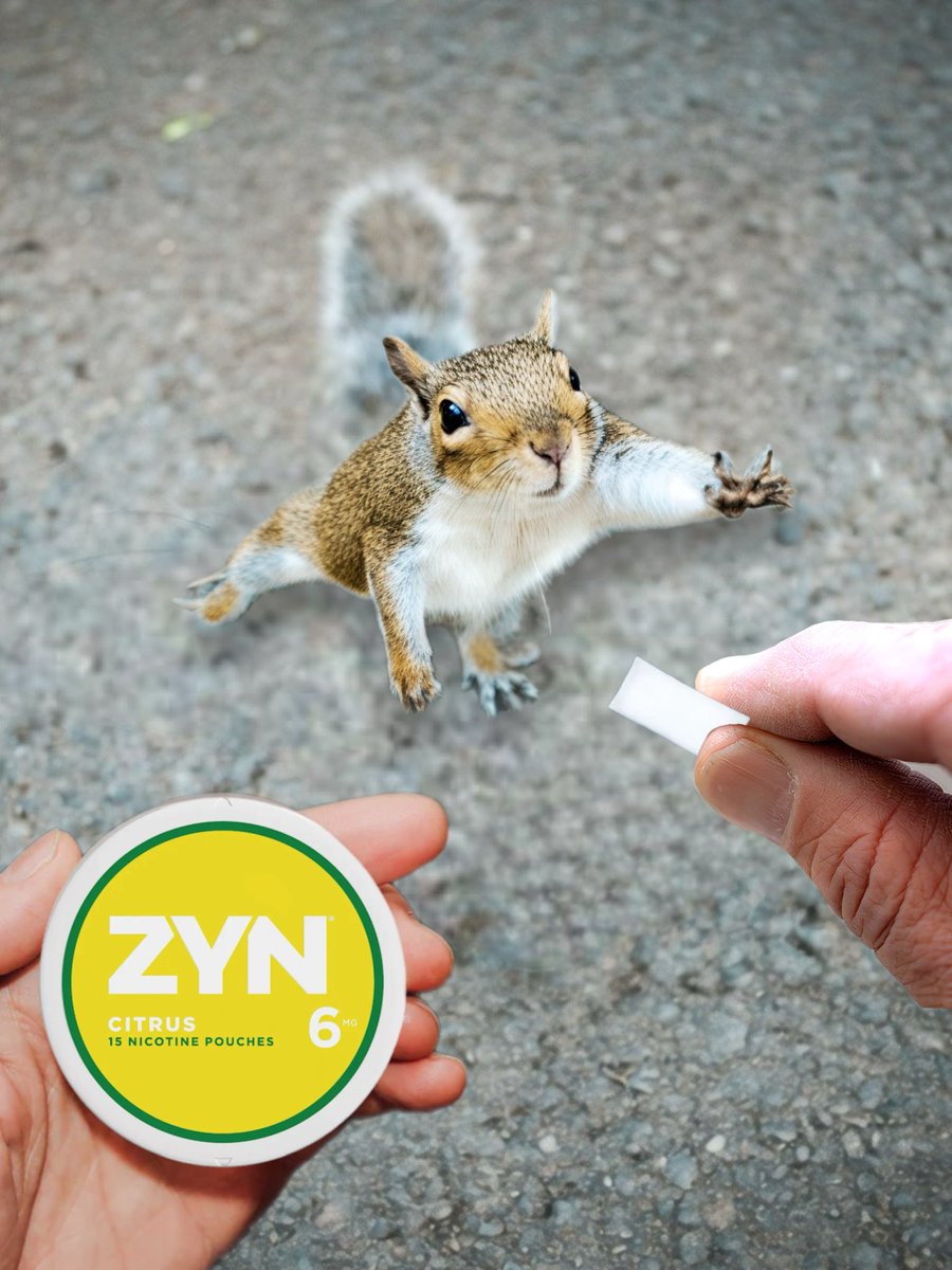 Prison Mitch tweet media