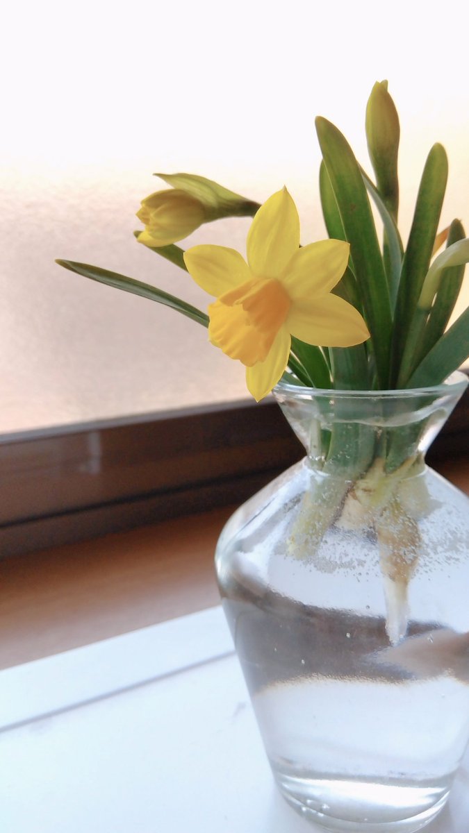 ハルミ tweet media