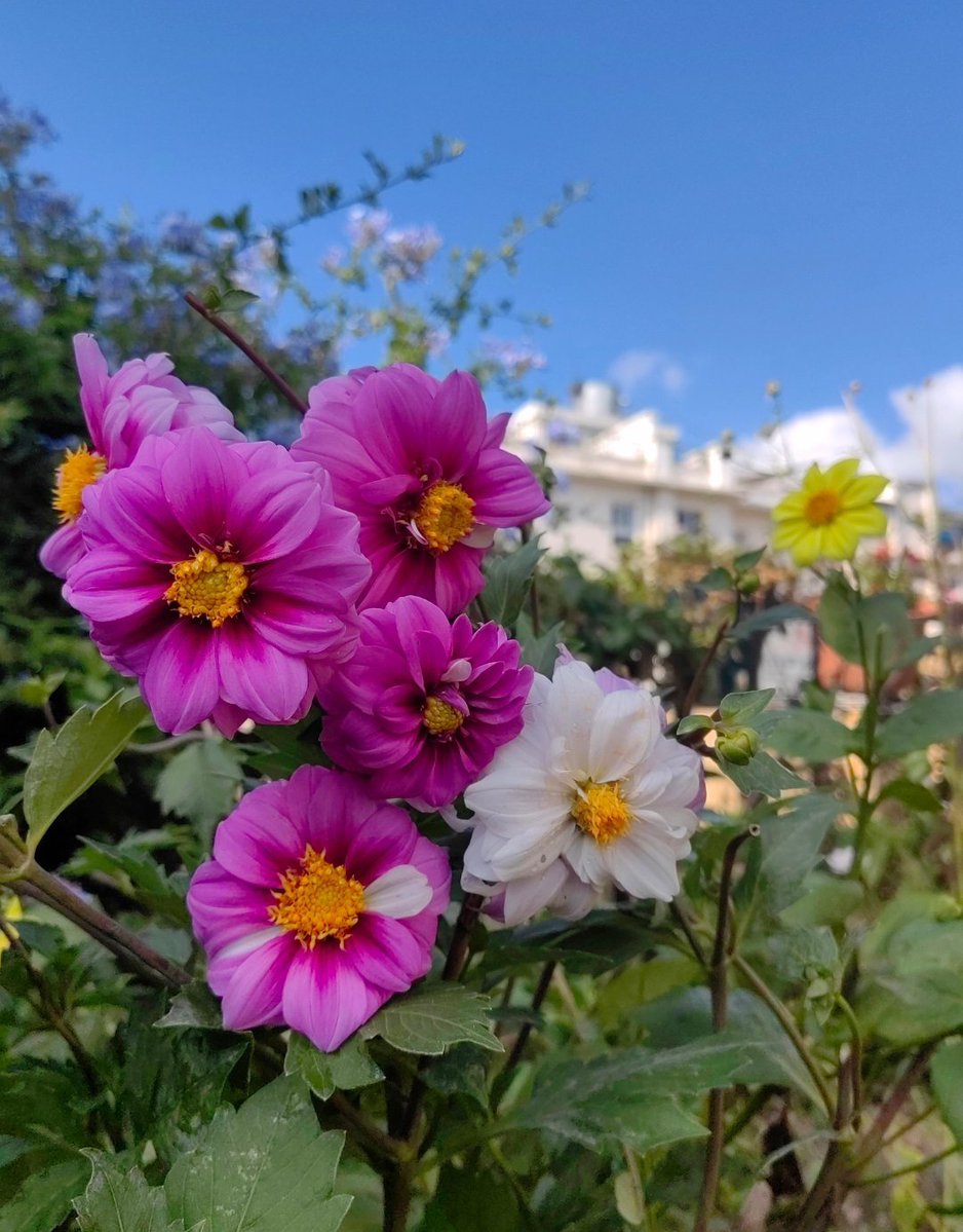 Ethan K Klein tweet media