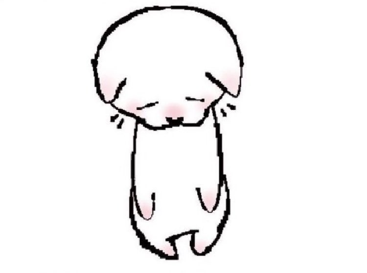 𝑃𝑜𝑤𝑑𝑒𝑟 tweet media