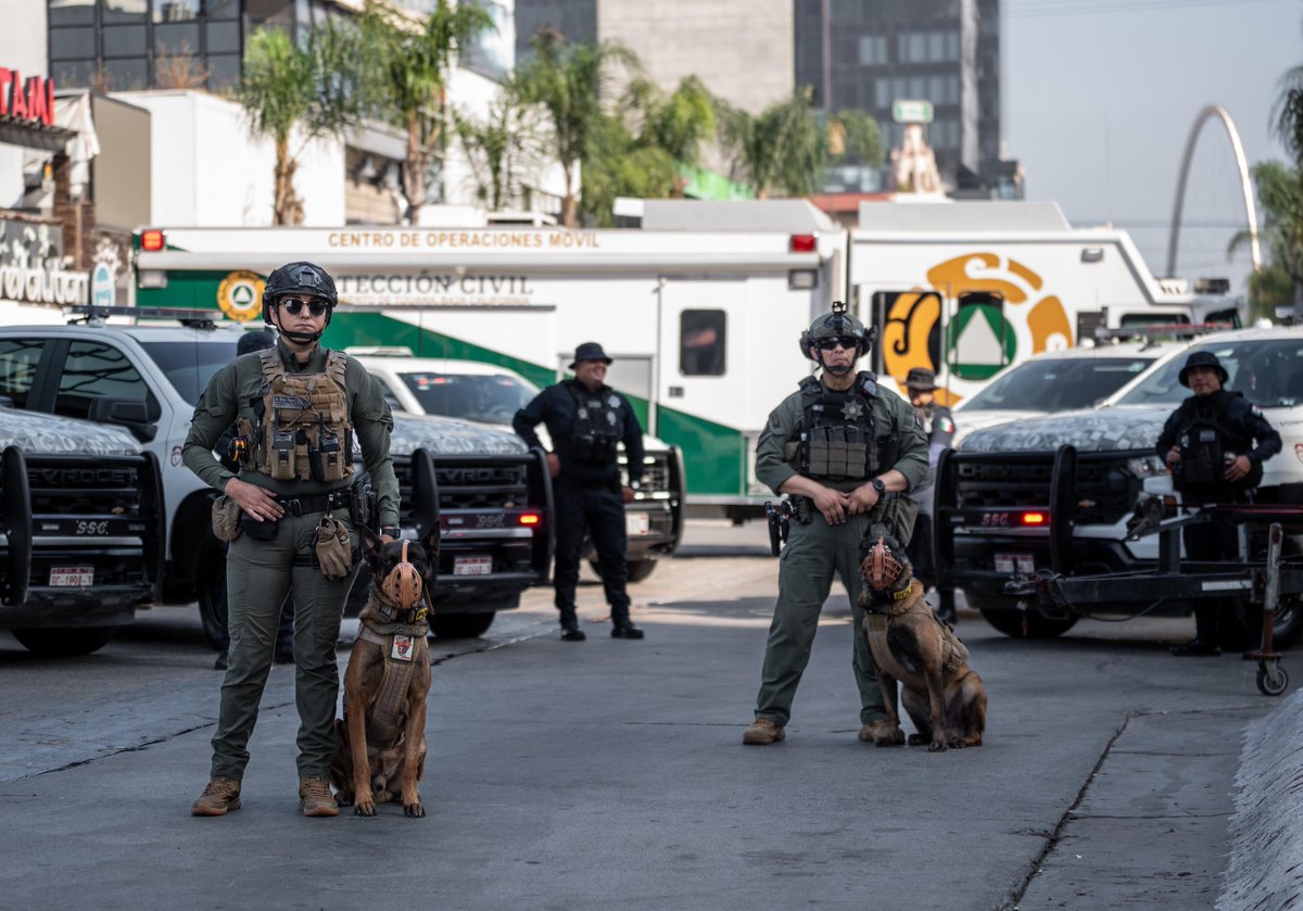 Buzo Caperuzo tweet media