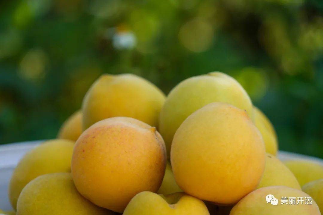 Joanne Stottlar tweet media