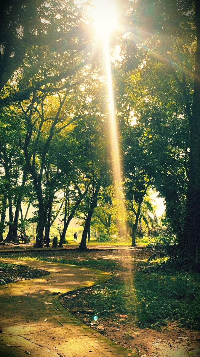 Agba Frenzi tweet media