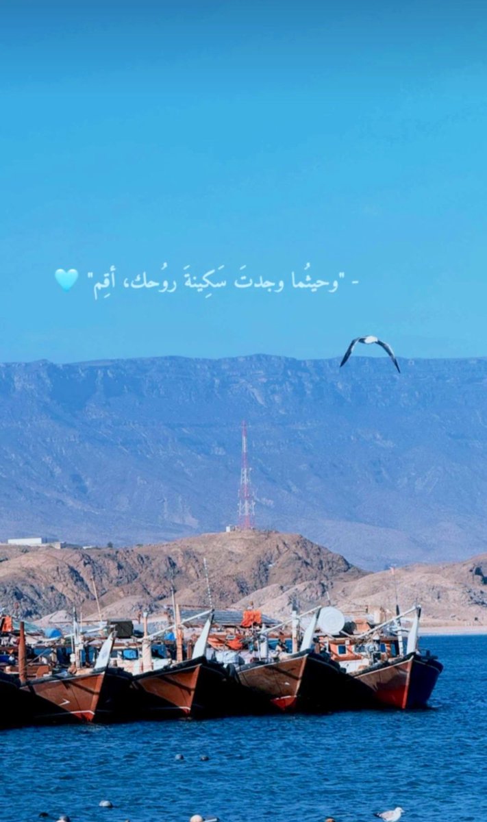 ..𝓡𝓞𝓐𝓐.. tweet media