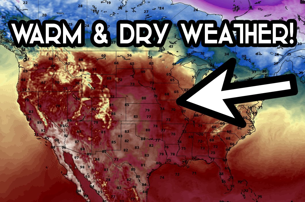 Tea Storm Chasers tweet media