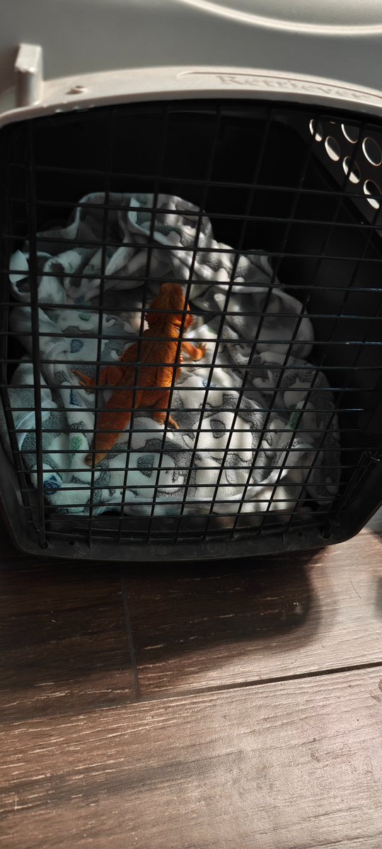 RunaBytes 【Android Vtuber】 tweet media