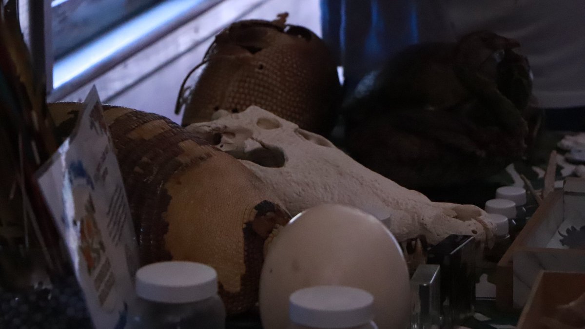 Secretaría de Ciencia Puebla tweet media