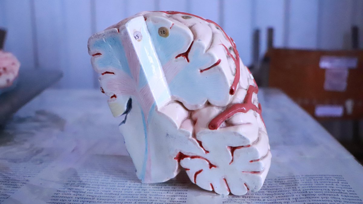 Secretaría de Ciencia Puebla tweet media