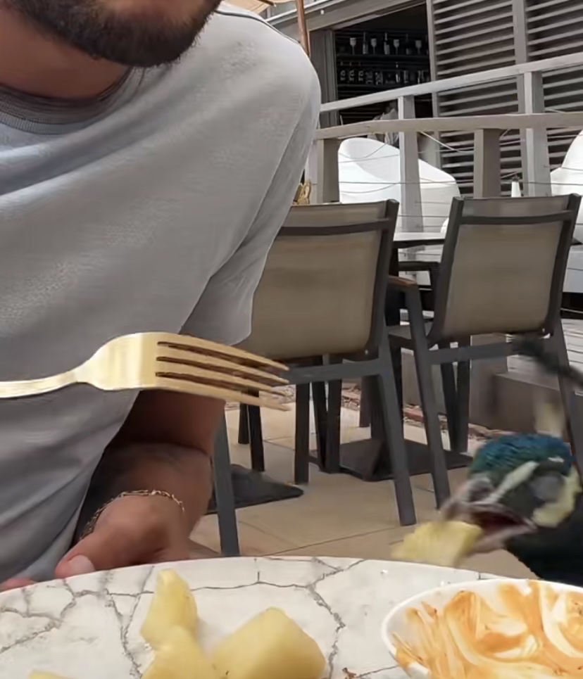 Anthony Gabeaud tweet media