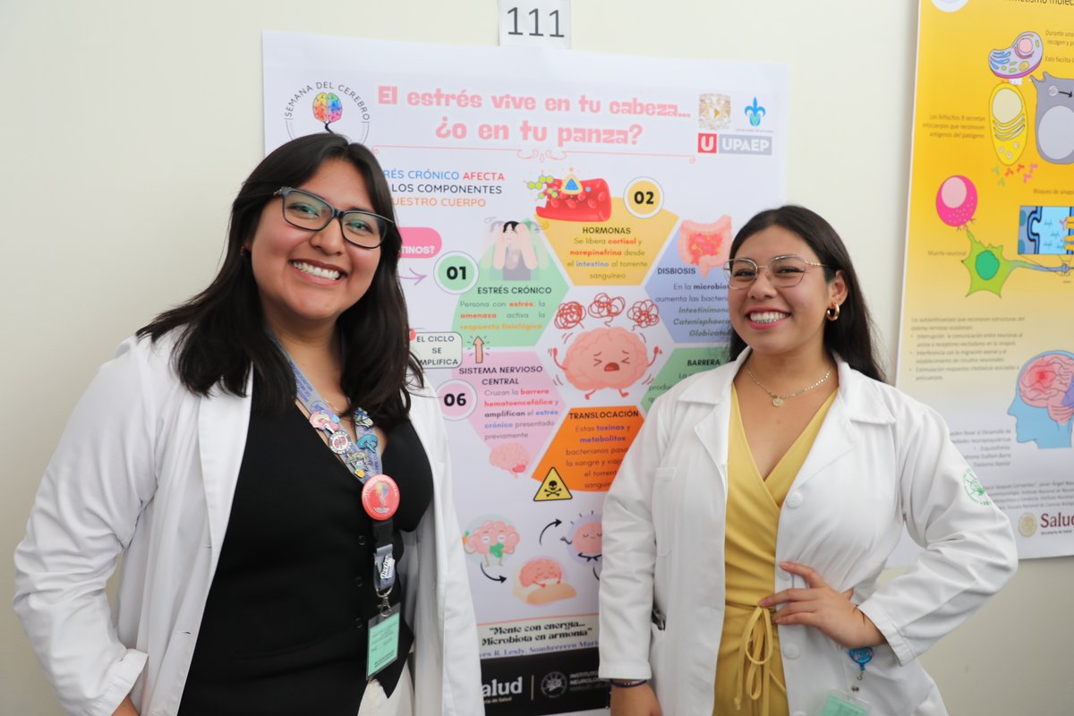 INNNMVS's tweet photo. 👩‍⚕️👨‍⚕️Llevamos a cabo la 2a jornada de actividades de la Semana del Cerebro🧠

Ponencias, presentación de carteles, juegos, dinámicas, acto cultural y mucho más en este ejercicio de divulgación científica dirigida a todas y todos. https://t.co/phJAflRjXs