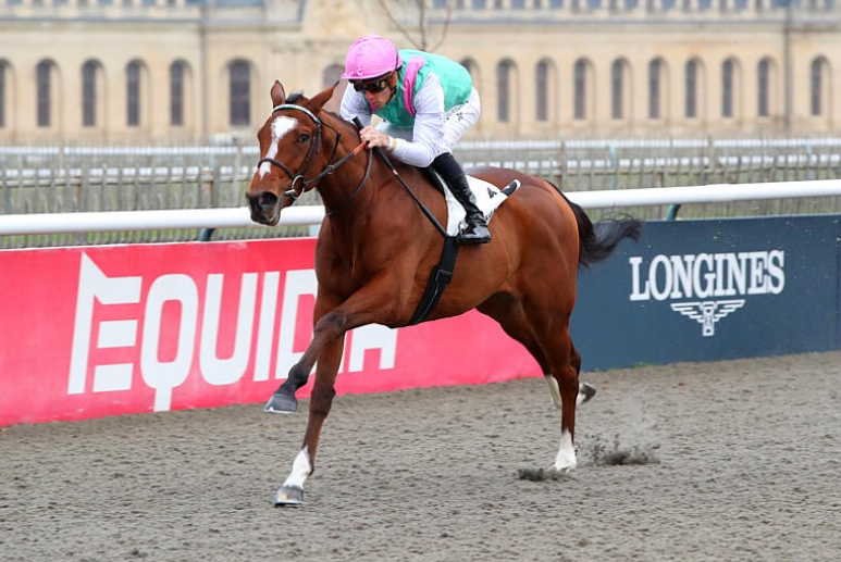 Jess Samy tweet media