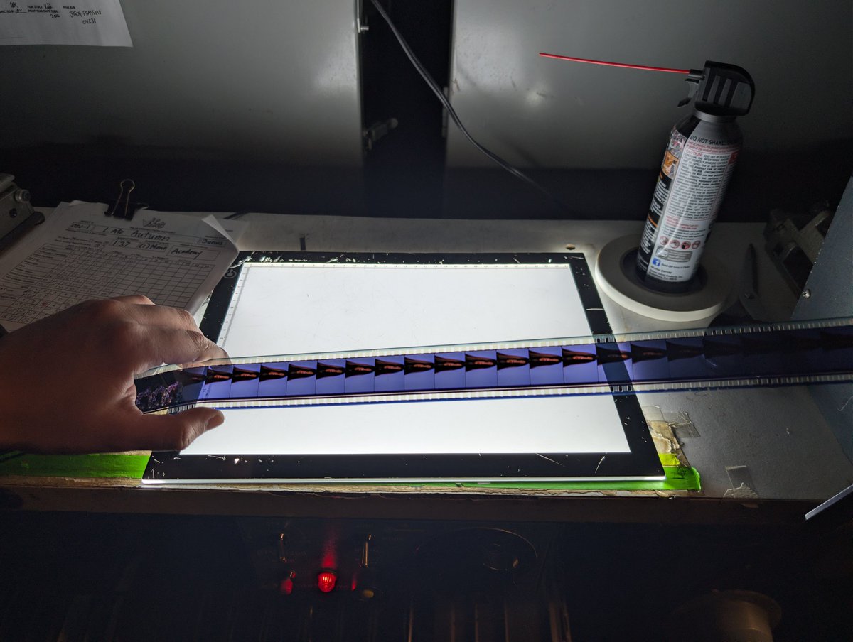 Beyond Fest tweet media