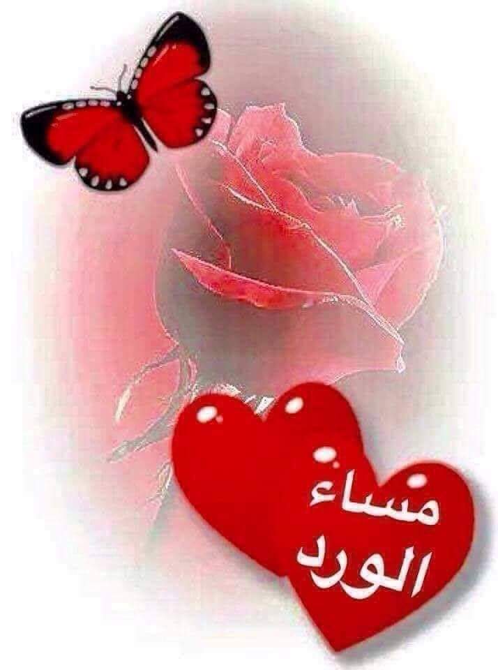 fifi_al7 tweet media