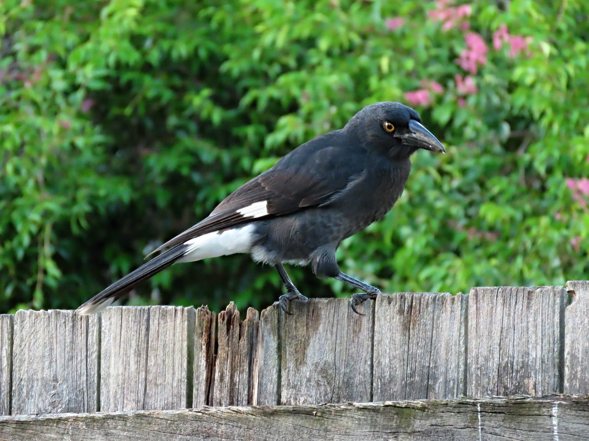 Tranquility Found tweet media