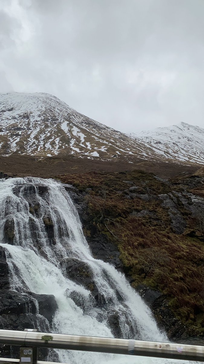 عِصام 🩺 tweet media