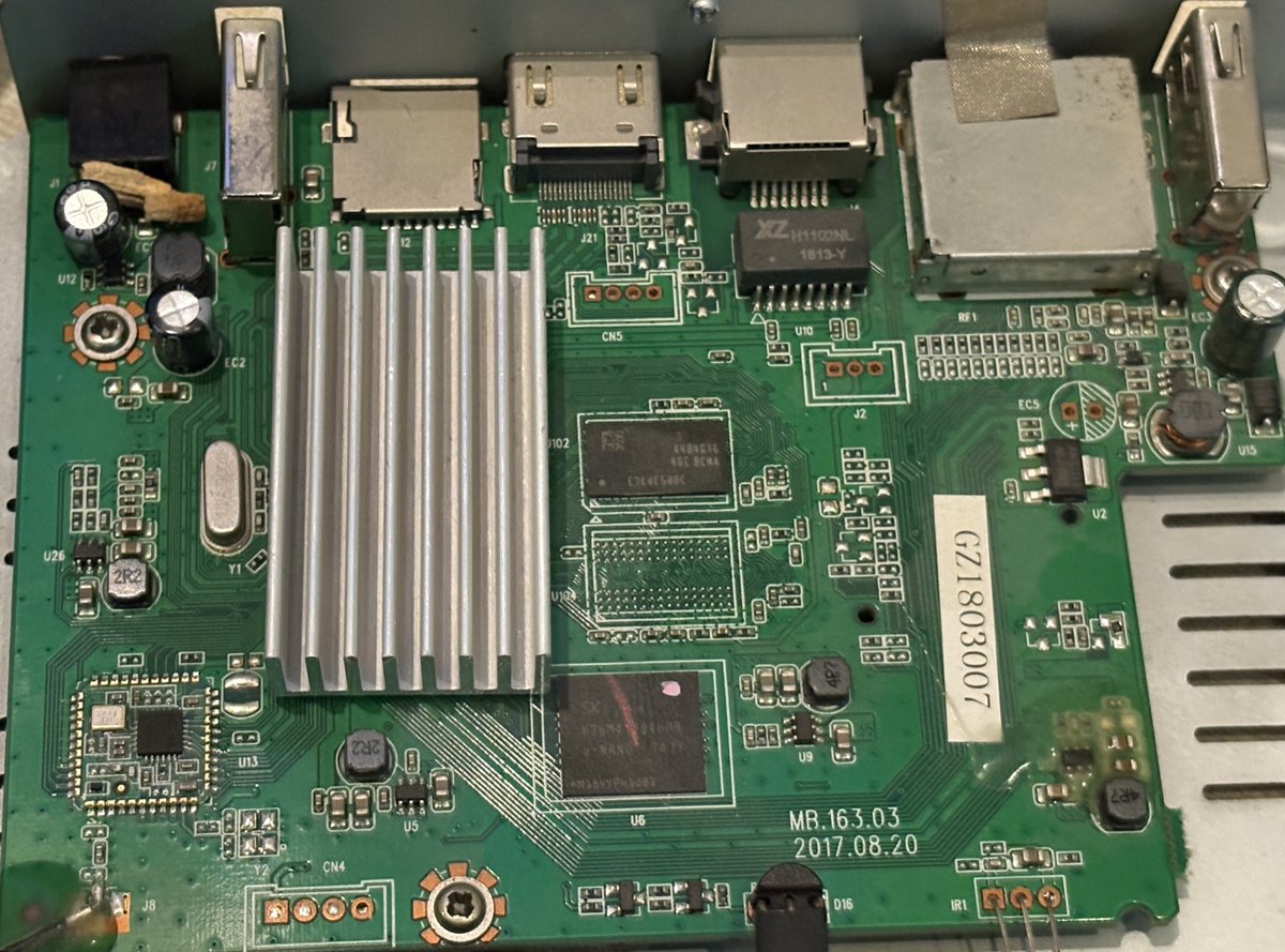 the fish who asked why tweet media