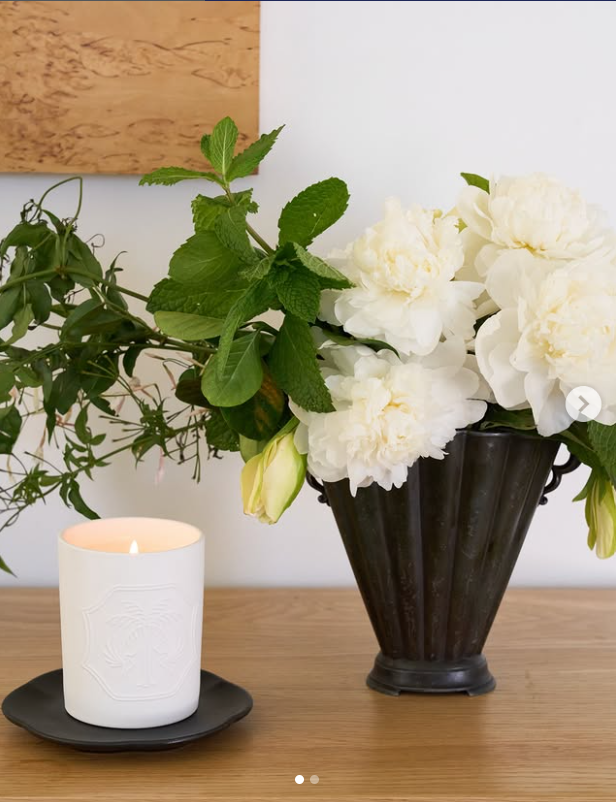 Agatha Green tweet media