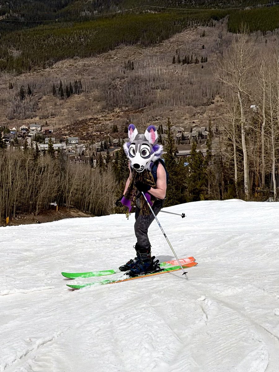 Waggot :3 tweet media