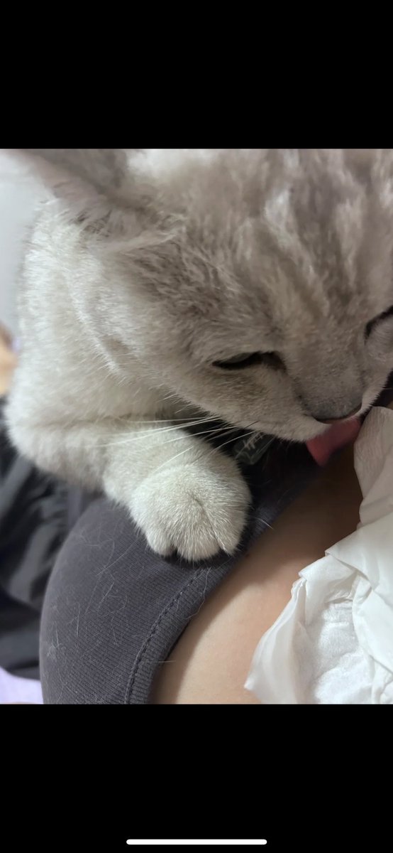 绵云漫记 tweet media