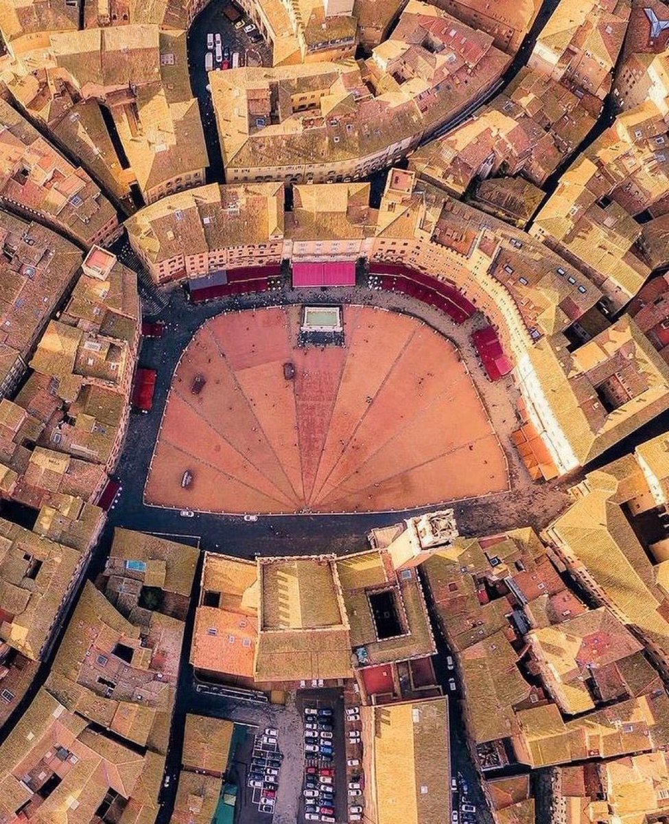 Miscelánea🍀 tweet media