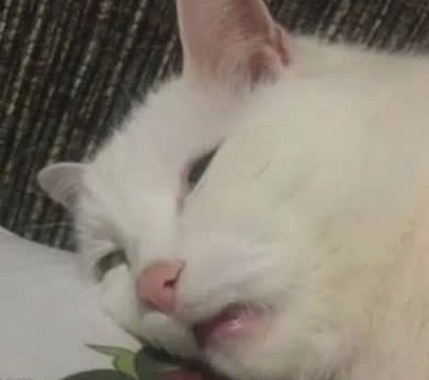 ♦️MissMelancholy️♦️ tweet media