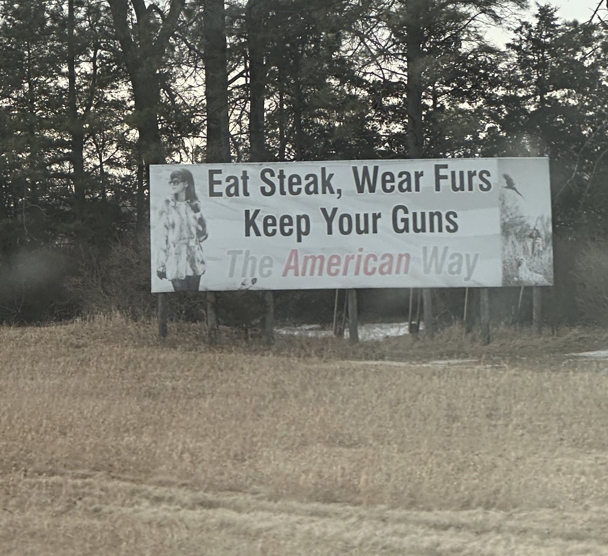 Kelley Jorgensen tweet media