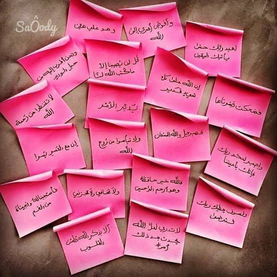 قلم وطني حر. tweet media