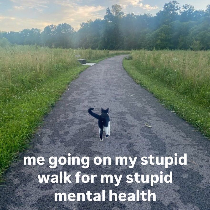 ADHD Memes tweet media